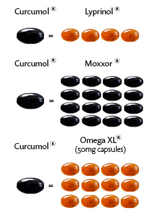 curcumol-pills-right-long-pic-.jpg